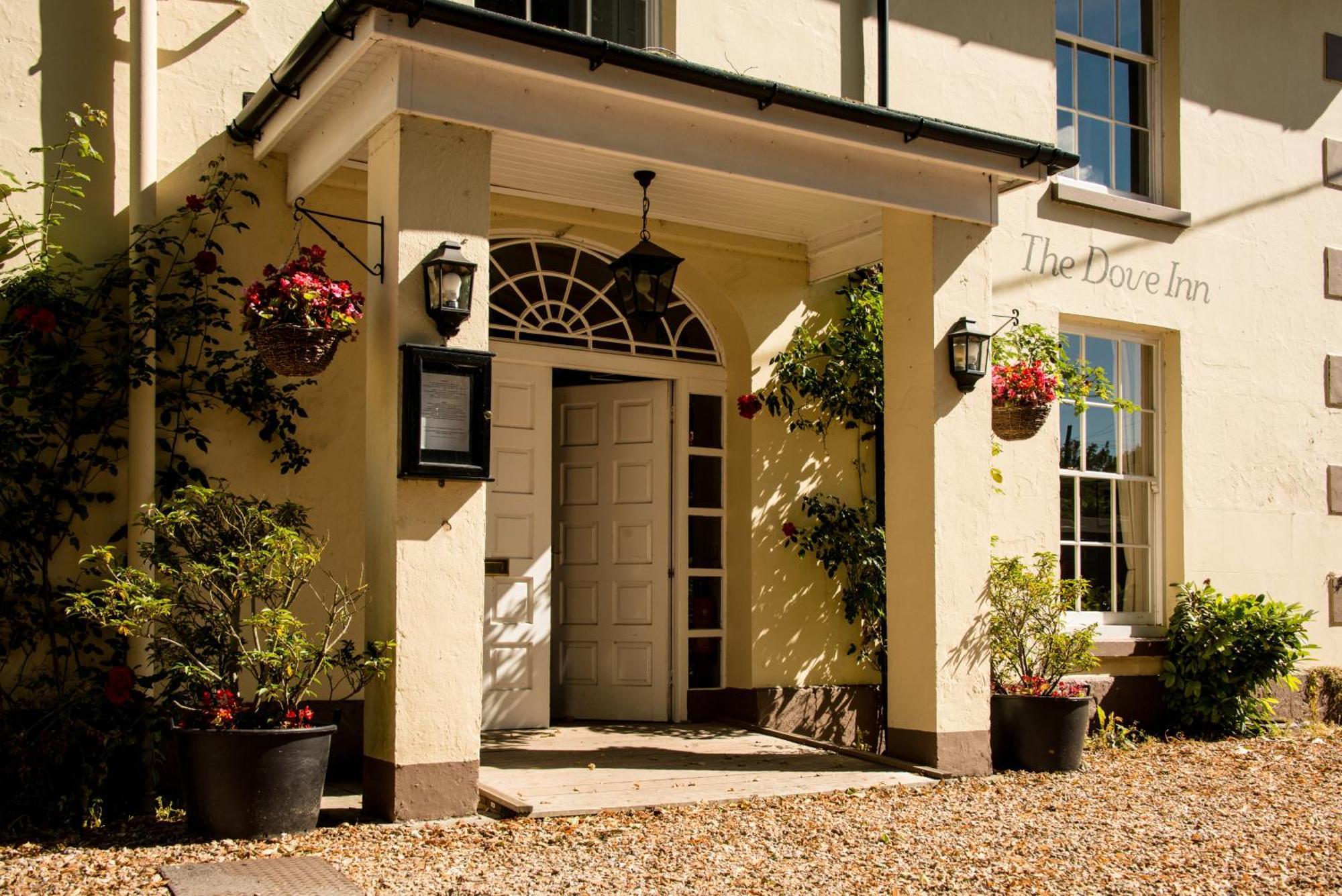 The Dove Inn Micheldever المظهر الخارجي الصورة